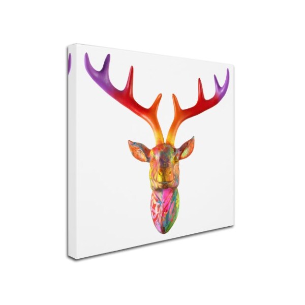 Dean Russo 'Deer Bust' Canvas Art,24x24